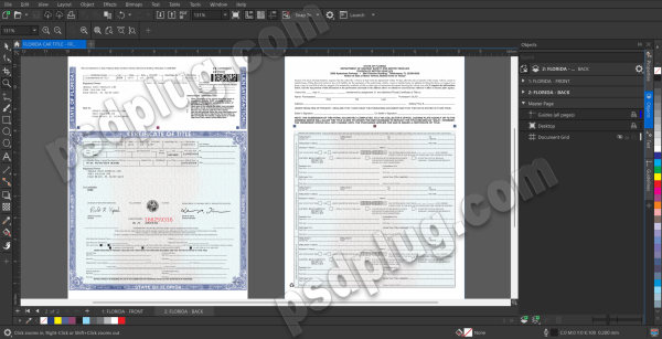 Florida (FL) Car Title Editable Vector Cdr Template HQ